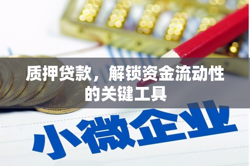 新园质押贷款，解锁资金流动性的关键工具