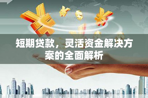 新园短期贷款，灵活资金解决方案的全面解析