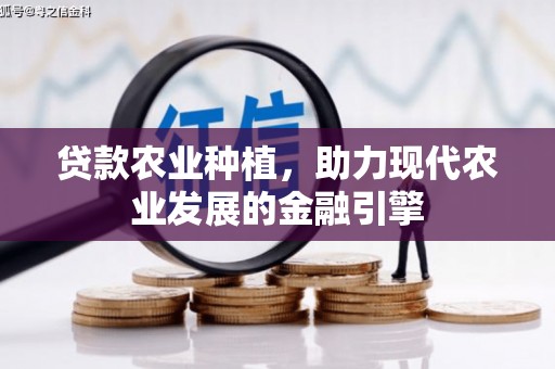 新园贷款农业种植，助力现代农业发展的金融引擎