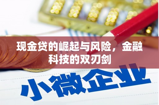新园现金贷的崛起与风险，金融科技的双刃剑
