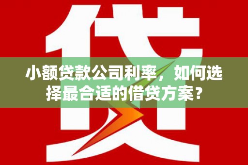 新园小额贷款公司利率，如何选择最合适的借贷方案？