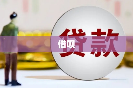 新园借呗
