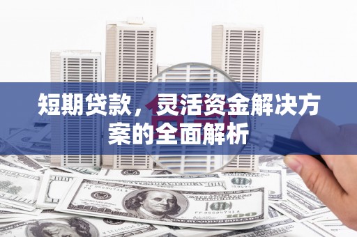 新园短期贷款，灵活资金解决方案的全面解析