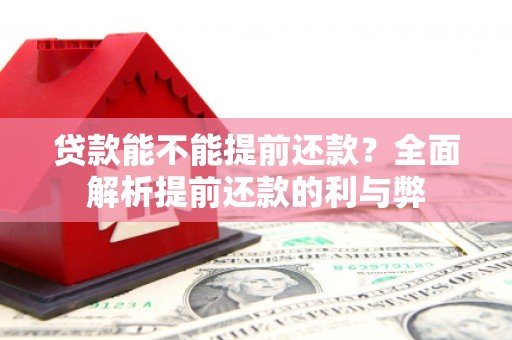 新园贷款能不能提前还款？全面解析提前还款的利与弊