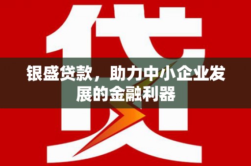 新园银盛贷款，助力中小企业发展的金融利器