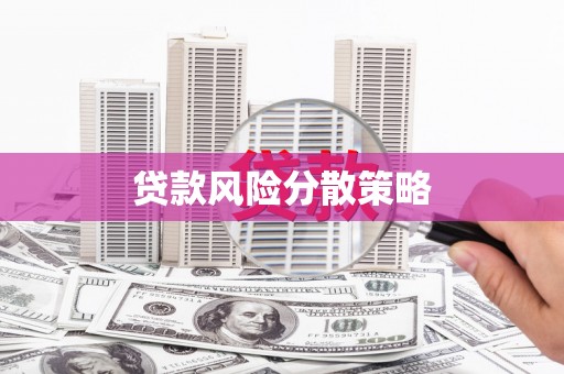 新园贷款风险分散策略
