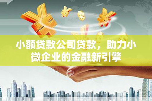 新园小额贷款公司贷款，助力小微企业的金融新引擎