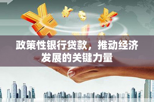 新园政策性银行贷款，推动经济发展的关键力量