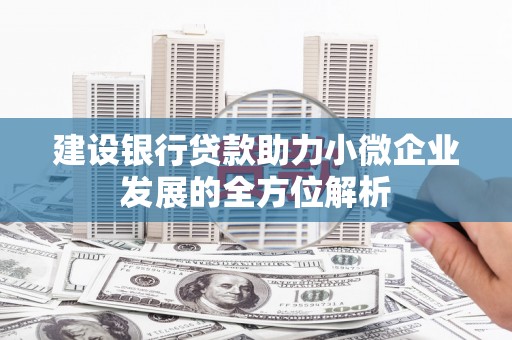 新园建设银行贷款助力小微企业发展的全方位解析