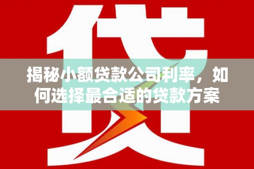 新园揭秘小额贷款公司利率，如何选择最合适的贷款方案