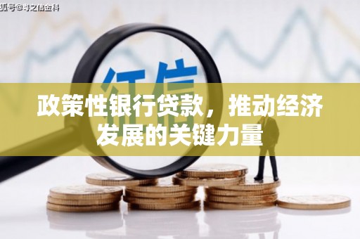 新园政策性银行贷款，推动经济发展的关键力量