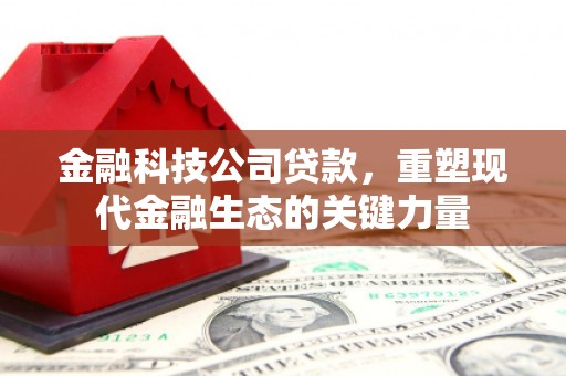 新园金融科技公司贷款，重塑现代金融生态的关键力量