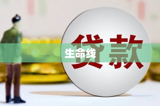新园生命线
