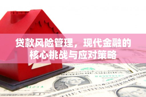 新园贷款风险管理，现代金融的核心挑战与应对策略