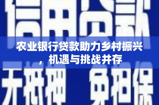 新园农业银行贷款助力乡村振兴，机遇与挑战并存