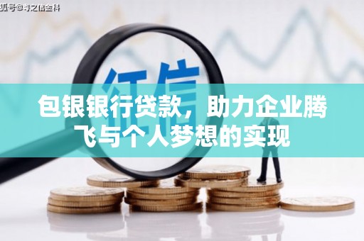 新园包银银行贷款，助力企业腾飞与个人梦想的实现