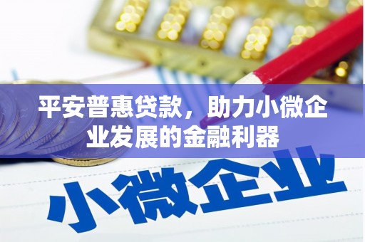新园平安普惠贷款，助力小微企业发展的金融利器