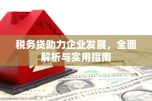 新园税务贷助力企业发展，全面解析与实用指南