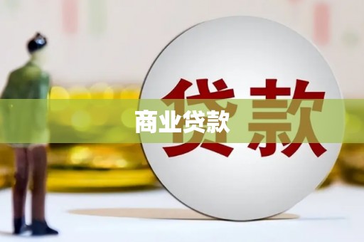 新园商业贷款