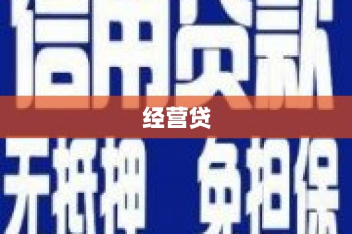 新园经营贷