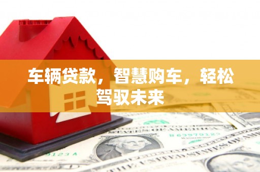 新园车辆贷款，智慧购车，轻松驾驭未来