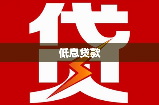 新园低息贷款