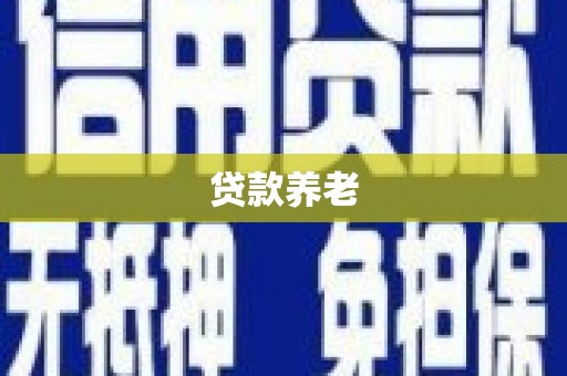 新园贷款养老