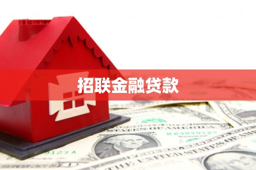 新园招联金融贷款