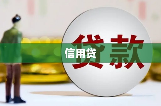 新园信用贷