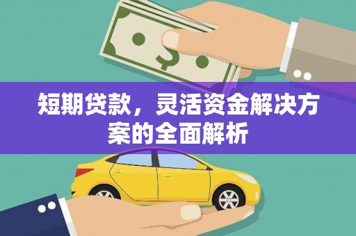 新园短期贷款，灵活资金解决方案的全面解析