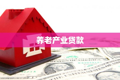 新园养老产业贷款