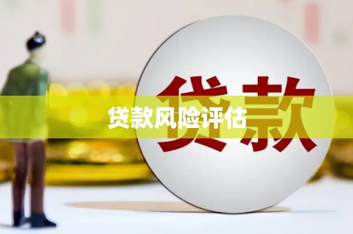新园贷款风险评估