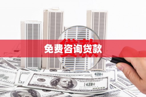 新园免费咨询贷款