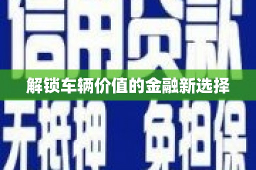 新园解锁车辆价值的金融新选择