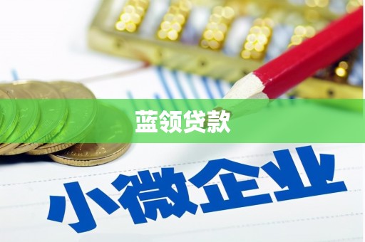 新园蓝领贷款