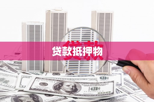 新园贷款抵押物