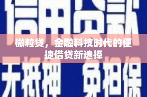 新园微粒贷，金融科技时代的便捷借贷新选择