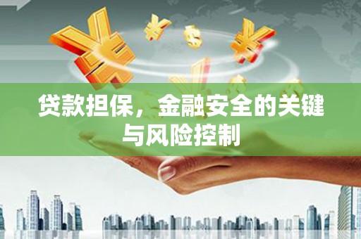 新园贷款担保，金融安全的关键与风险控制