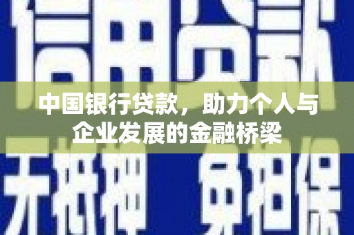 新园中国银行贷款，助力个人与企业发展的金融桥梁