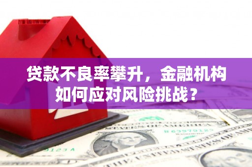 新园贷款不良率攀升，金融机构如何应对风险挑战？