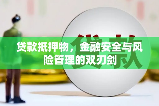 新园贷款抵押物，金融安全与风险管理的双刃剑