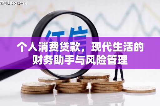 新园个人消费贷款，现代生活的财务助手与风险管理