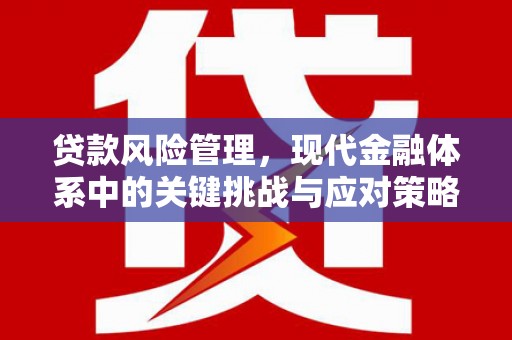 新园贷款风险管理，现代金融体系中的关键挑战与应对策略