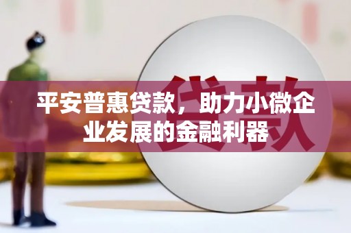 新园平安普惠贷款，助力小微企业发展的金融利器