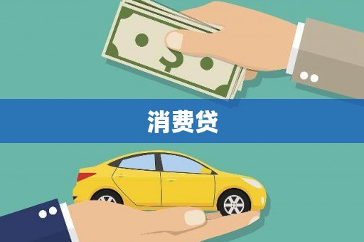 新园消费贷