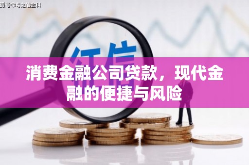 新园消费金融公司贷款，现代金融的便捷与风险