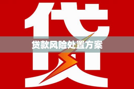 新园贷款风险处置方案