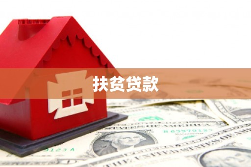 新园扶贫贷款