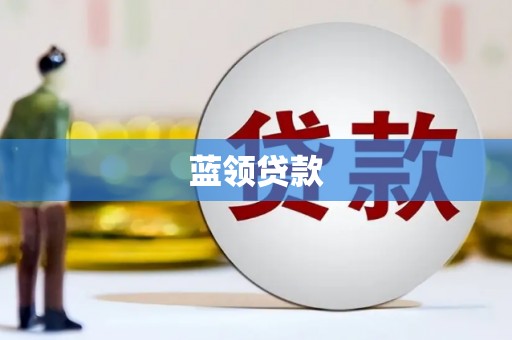 新园蓝领贷款