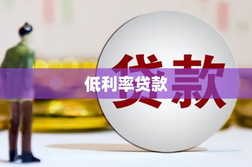 新园低利率贷款